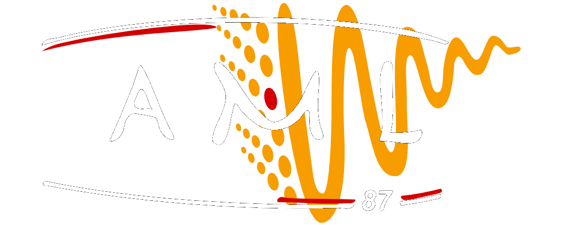 AML 87